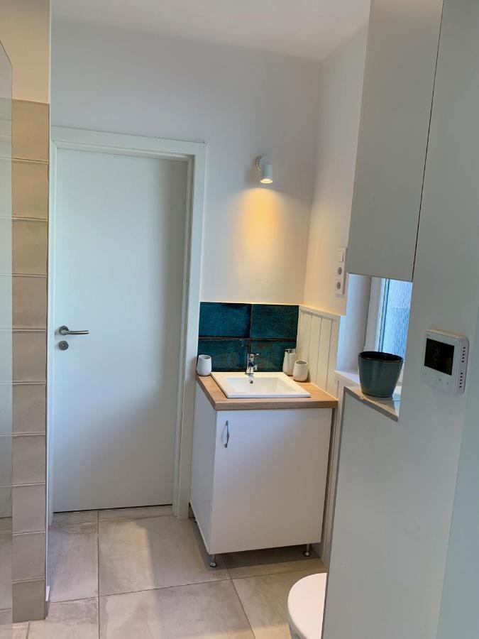 Old Town Apartment Szekesfehervar Bagian luar foto